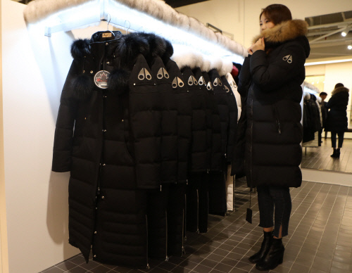 롯데百 "이른 추위에 프리미엄 패딩 불티, 매출 300%↑"