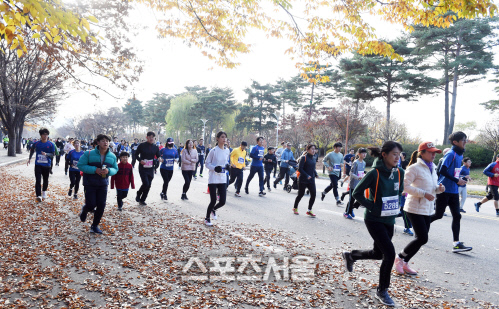 [포토] 제15회 스포츠서울 마라톤 \'가을을 즐기며\'