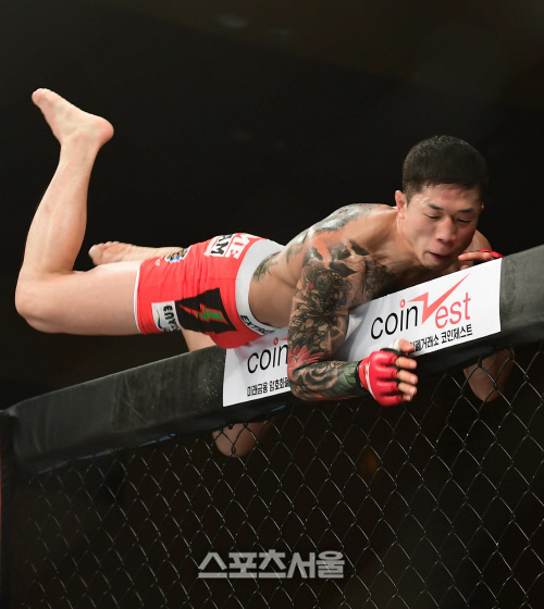 [TFC19 종합] ‘鬪神’ 김재웅, 2R TKO승…서예담은 '또' 서지연戰 승리