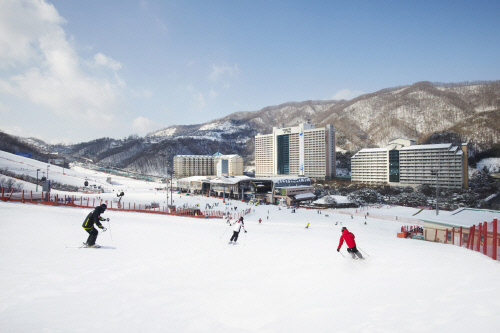 비발디파크 스키월드