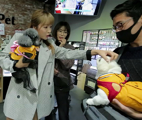 '펫스타' 홍진영의 아기들 이름은...(안젤리나)졸리와 패리(스 힐튼)