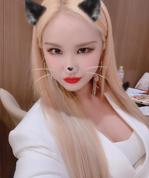 EXID LE, 재킷 속 드러난 '볼륨감' [★SNS]