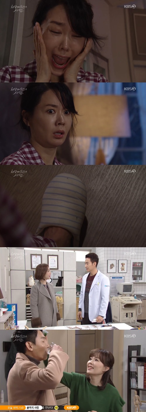 '차달래 부인' 안선영, 작곡가 애완 거북 밟았다…김응수, 하희라-김원석 의심(종합) 