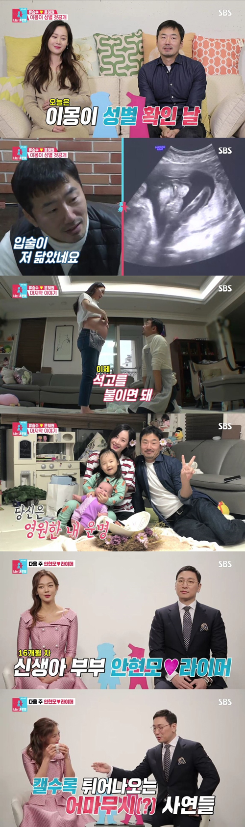 '동상이몽2' 류승수♥윤혜원, 출산 앞두고 하차→안현모♥라이머 바톤터치