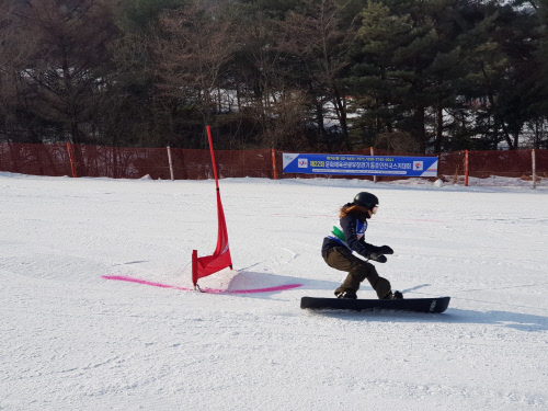 문화체육관광부장관기 동호인 전국스키대회 개최