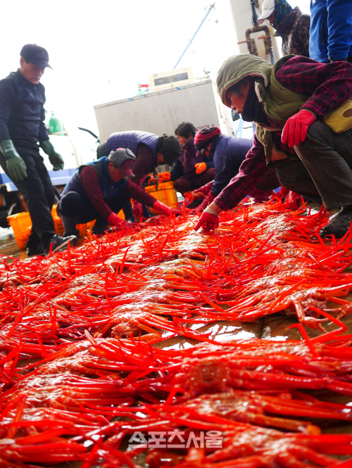 KakaoTalk_20190128_142505470