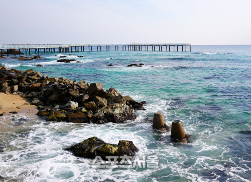 KakaoTalk_20190128_142505470