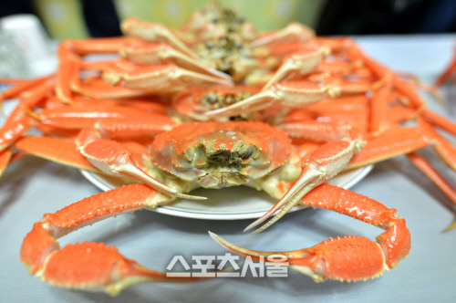 KakaoTalk_20190128_142505470