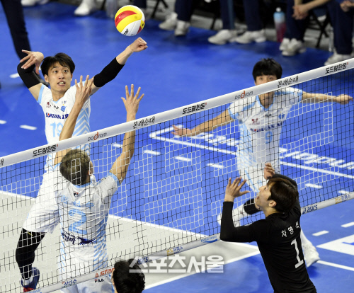 [포토] 대한항공 진성태, 때릴까...말까?