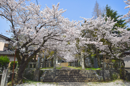 지쿠호가와라올레코스 (2)