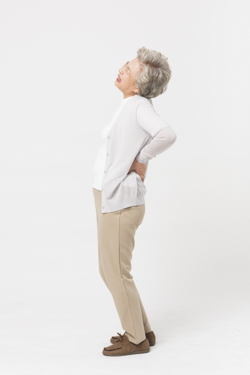 척추협착증이미지 (2)_출처 힘찬병원