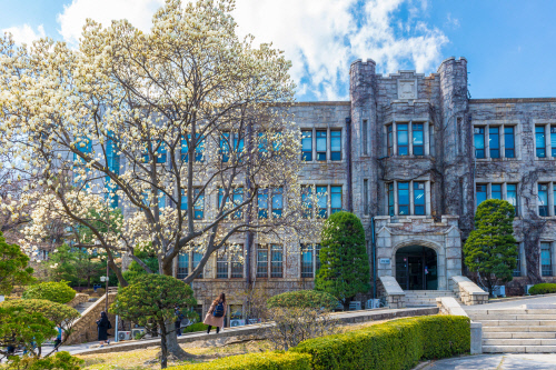 (배포용)연세대학교_연희관 정원 목련