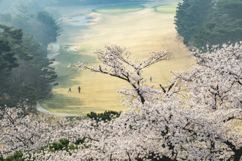 동래베네스트_1번홀