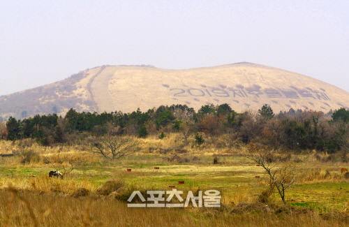 '다름'이 여행의 최고 매력, 듣기만해도 좋은 제주도란 이름