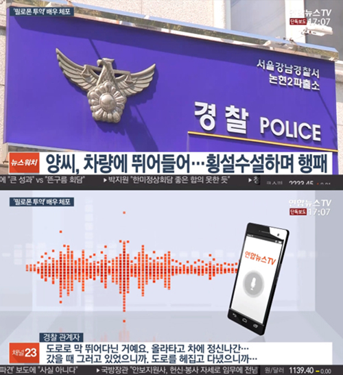 '마약 의혹' 배우 양 씨, '혐의 없음'으로 불기소...음성 반응+식욕 억제제 복용(종합)