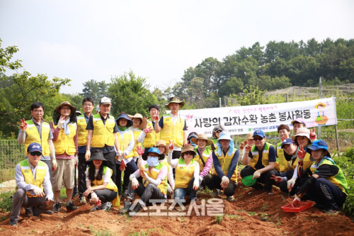 대전시, 공동체지원국 직원봉사단 감자수확 일손 돕기 (1)