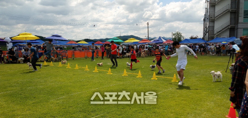 1시흥시 반려동물 축제