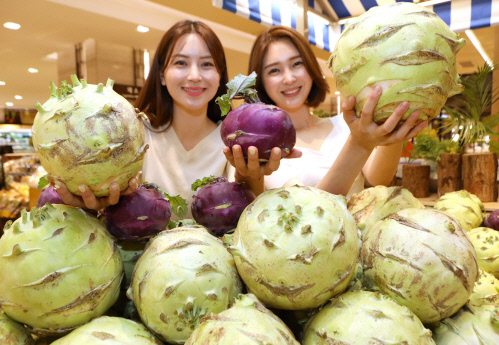 [포토] '이렇게 큰 콜라비는 처음인데?!' 롯데百, 대왕 콜라비 선봬