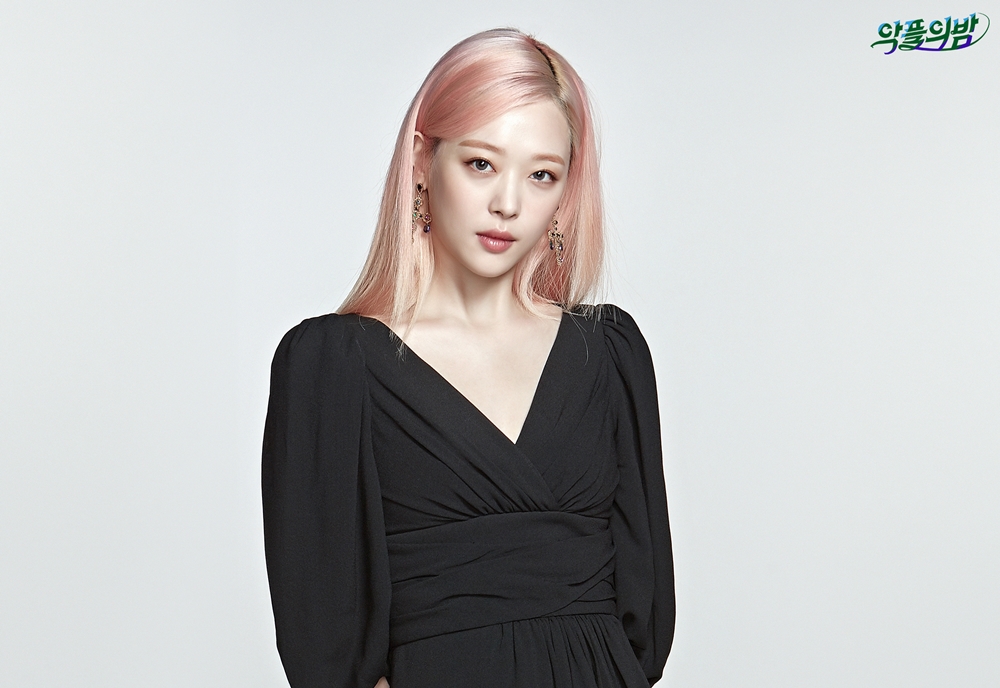 '악플의 밤' 설리 "'브래지어=액세서리'에 공감 주셔서 감사"