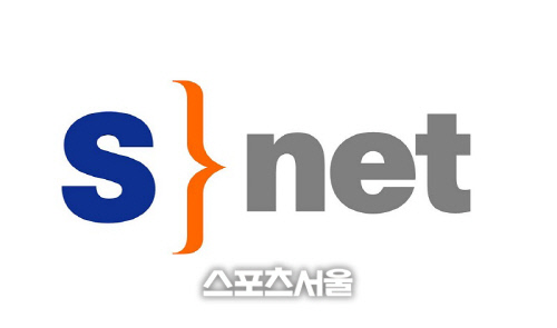 에스넷시스템 CI