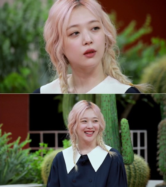 '악플의밤' 설리 "얼굴에 여백 많아..괜찮은 눈, 코, 입 배치" 