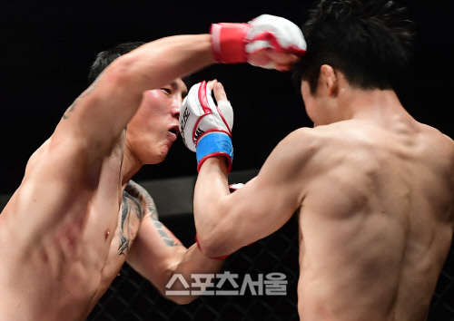 몽골 MFC 챔프 난딘에르덴, 로드FC 055에서 홍영기를 펀치로 물리치겠다