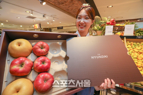 현대百, 명절 선물세트 플라스틱 빼고 종이로 ‘친환경 포장재’ 도입