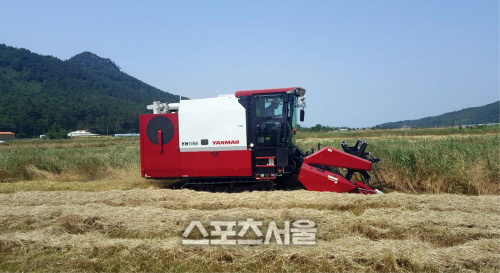 장흥군, 목초 신품종으로 수입 종자 생산 노력