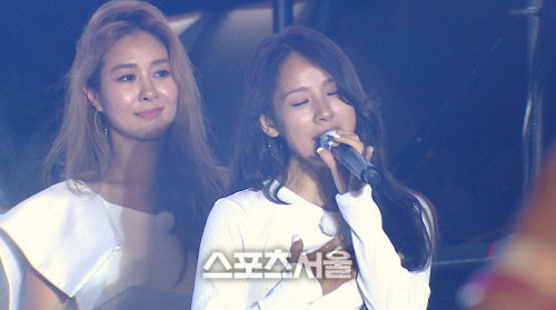 '캠핑클럽' 핑클, 팬들에 "너네도 늙었다" 너스레...반가운 재회