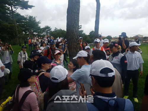 설해원 갤러리 볼 사고