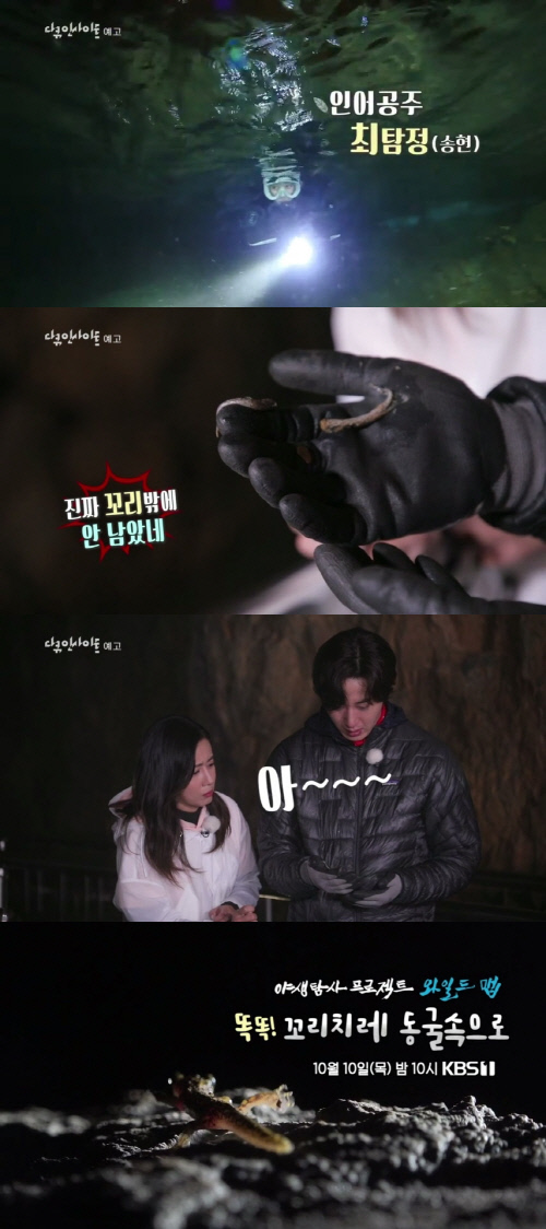 최송현_와일드맵_프리뷰1