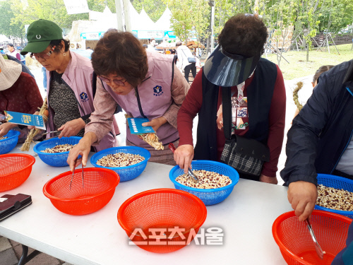 시민을 움직인 2019 원주삼토페스티벌 (5)