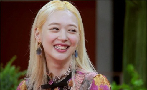 설리 없는 '악플의 밤' 가능할까? 관계자 "오늘(15일) 대책회의 예정"