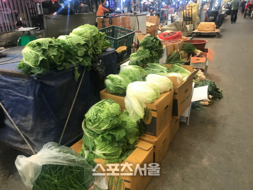 연이은 가을 태풍에 배추·무 가격 상승