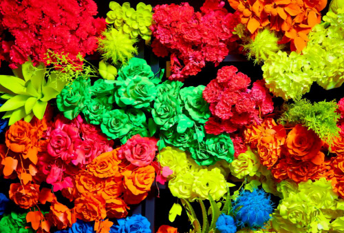 "메멘토 모리" 송아리 '낙하는 상대적으로 자유로운 운동이다'전