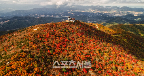 3. 발왕산 평화봉 일원