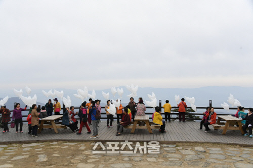 190429평창%20평화도시%20및%20발왕산%20명산%20선포식135