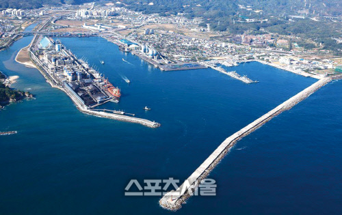 강원 동해상공회의소,'우드펠릿 수입항을 동해항으로' 정부와 업체에 건의