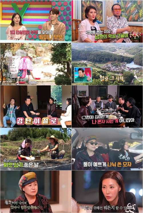 '모던 패밀리' 박원숙, 성현아 위로 "웃고 있어도 속은 아닐까 봐 가슴 아파"