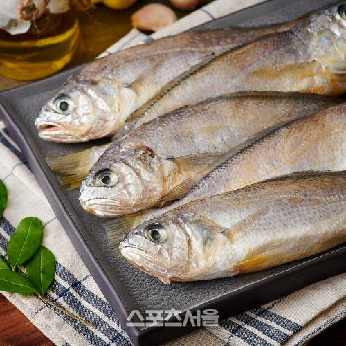 참조기 어획량 ↑·가격 ↓…롯데마트 15% 할인판매