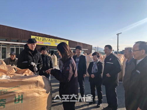 포항시 2019년 공공비축미 포대벼 및 태풍 피해벼 수매