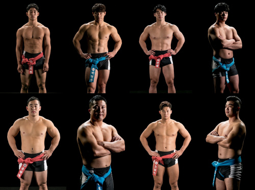 '씨름의 희열' 태백급 선수 8人 훈훈 라인업 공개