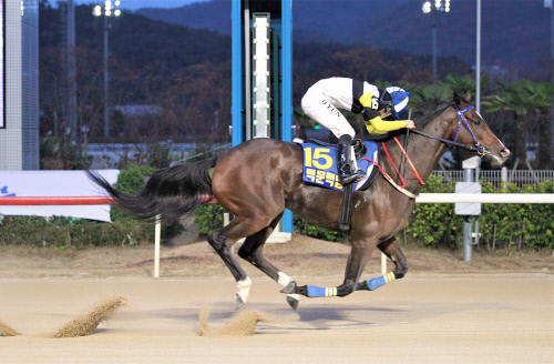 백문백답(부산경주마, 김영관조교사)이 우승하는 모습