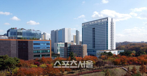 [써보니] DJI 매빅 미니, 가격·무게 '뚝', 성능 '쑥'...가성비 '갑 of 갑