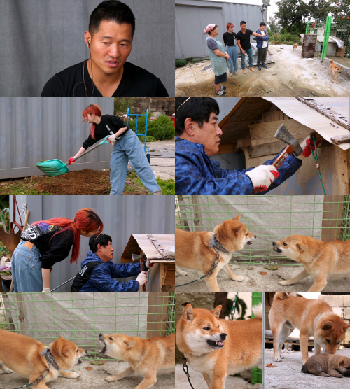 '개통령' 강형욱, 첫 솔루션 포기? "XX 개는 훈련 안 해" 소신 발언까지