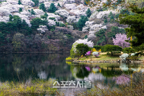 3.-우수상-G0095_7경_디지털(이선화)