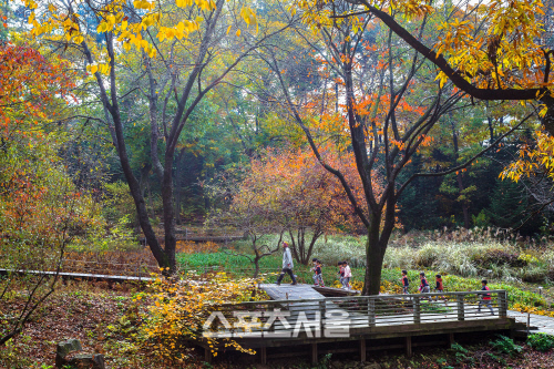 2. 우수상 E0220_5경_디지털(박윤준)