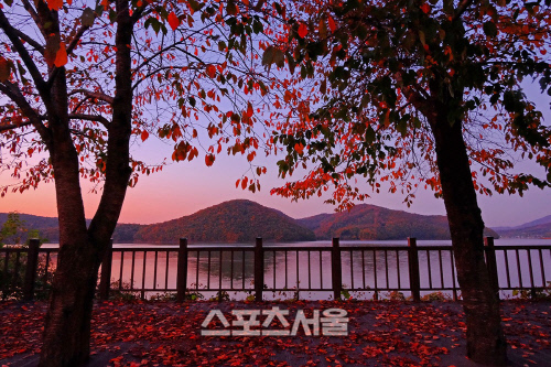 5.-장려상-H0147_8경_디지털(이상호)