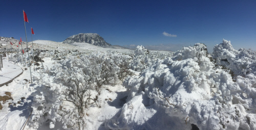 '설화(雪花)에 오르내리다' 승우여행사, 국내 최고 눈꽃 트레일 한라산 설경 트레킹 상품 출시