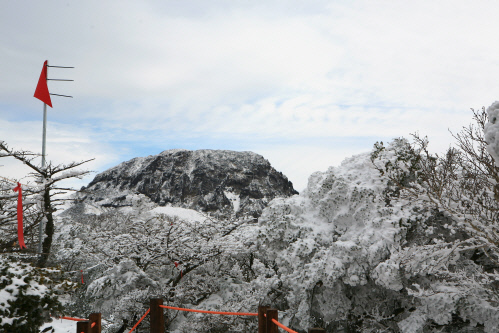 한라산 눈꽃 (15)